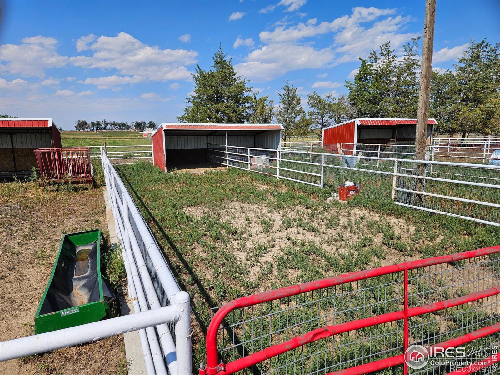 31793 County Road 29 Greeley CO 80631
