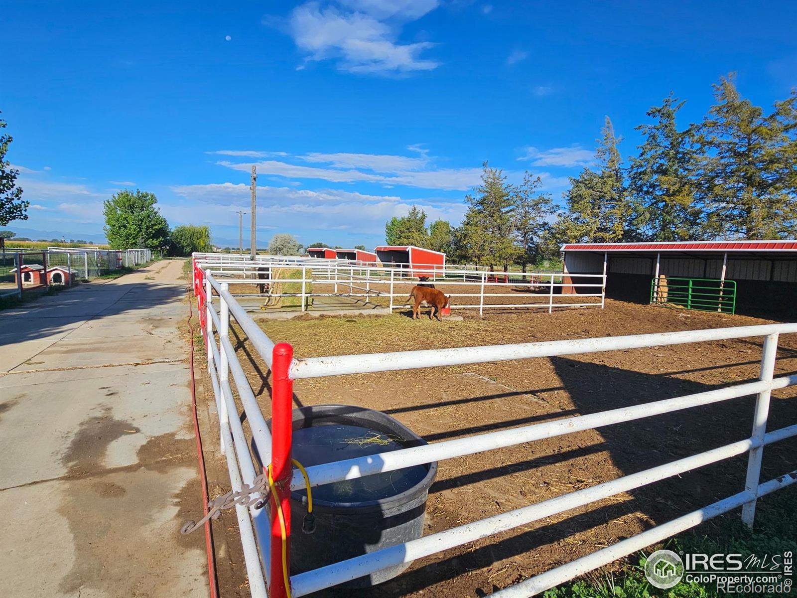 31793 County Road 29 Greeley CO 80631