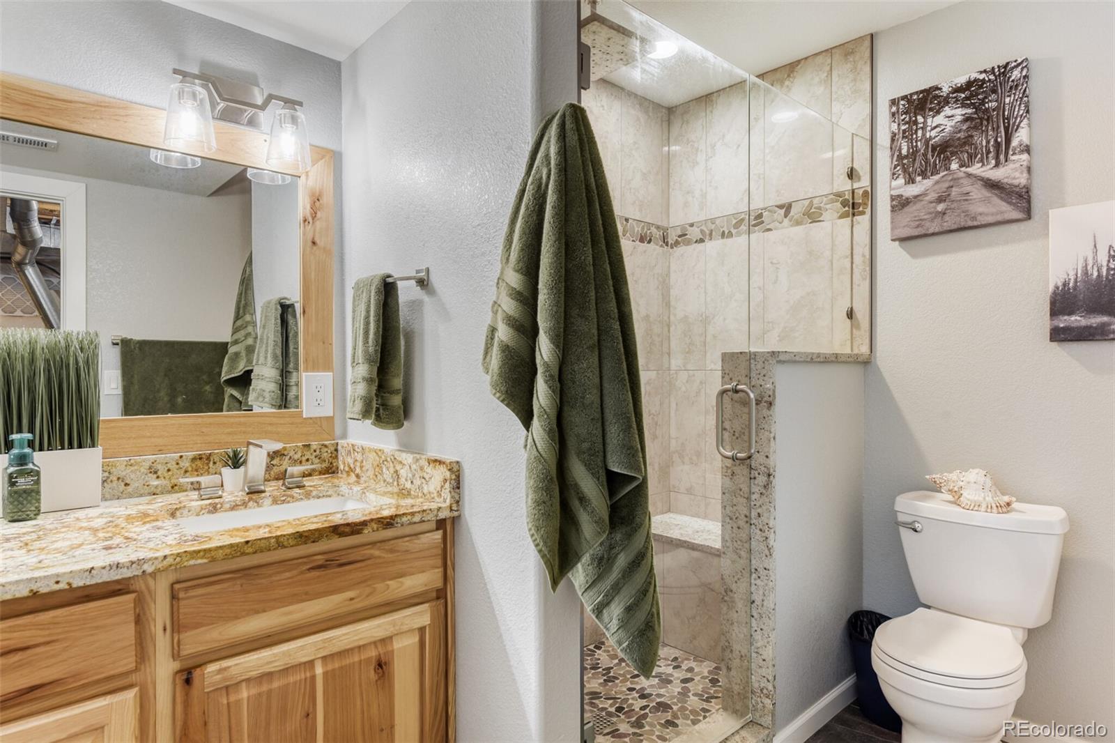 9913 Saybrook Street Highlands Ranch CO 80126