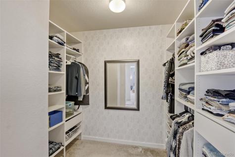 10890 Touchstone Loop Parker CO 80134