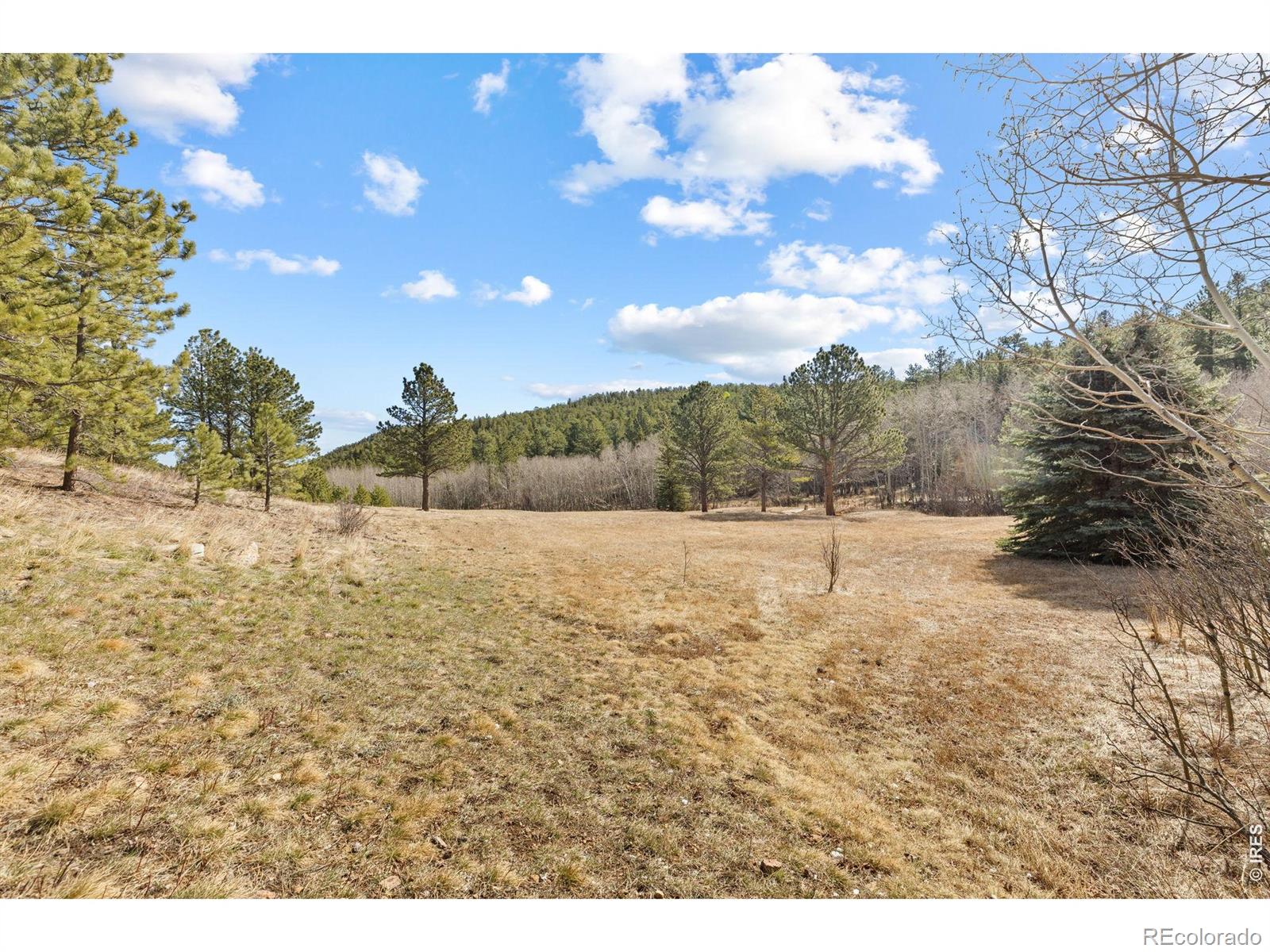 470 Big John Road Lyons CO 80540