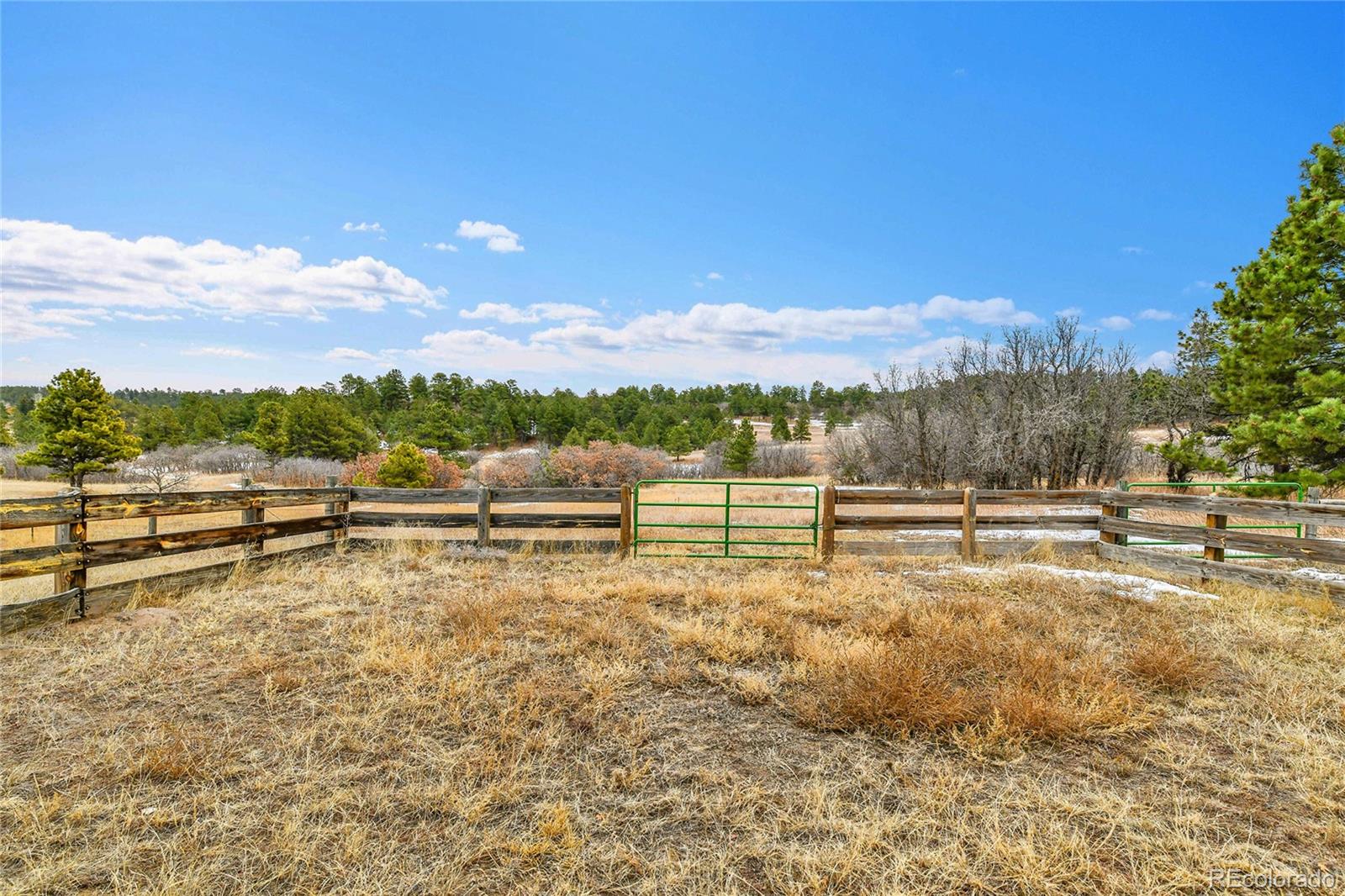 12984 Crowfoot Springs Road Larkspur CO 80118