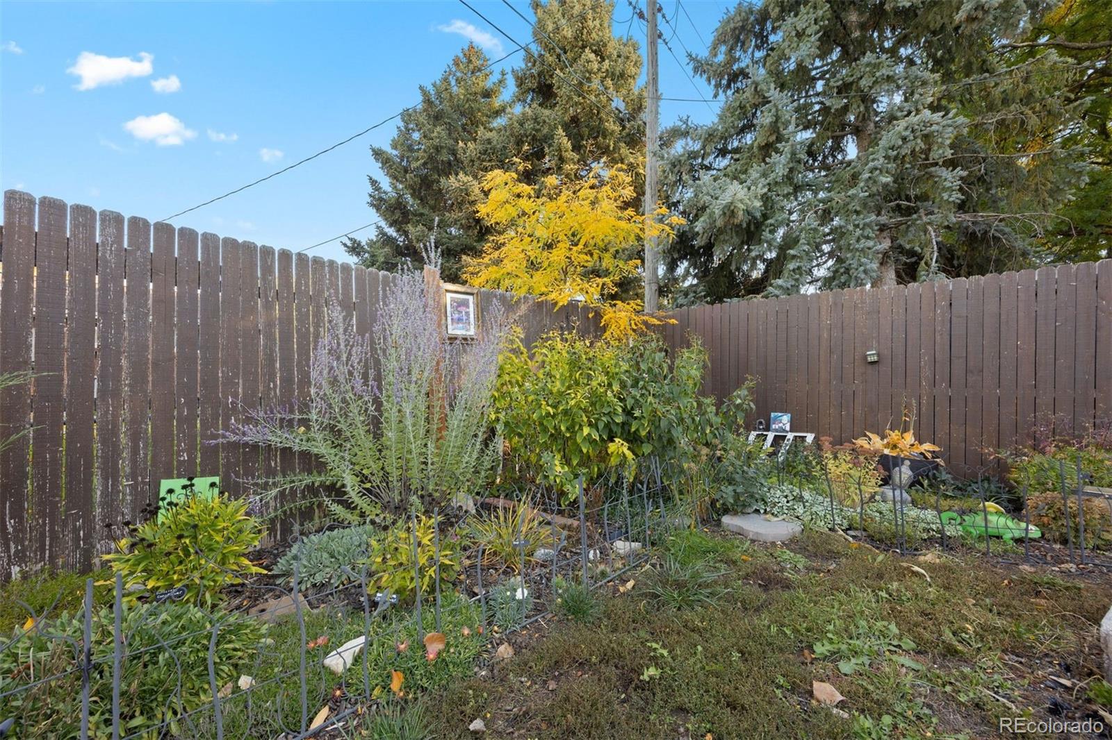 1766 S Cape Street Lakewood CO 80232