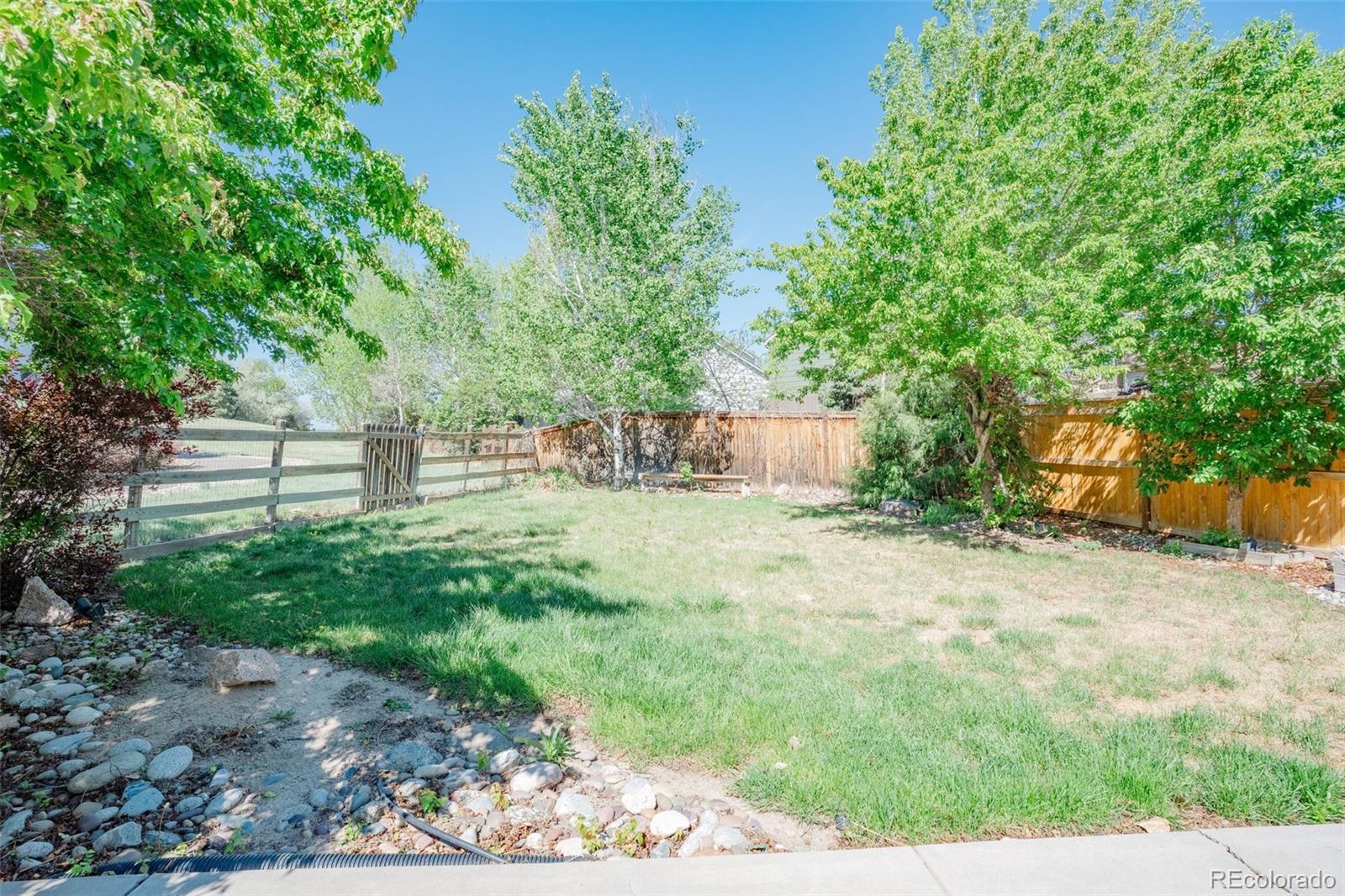3536 Morning Glory Drive Castle Rock CO 80109