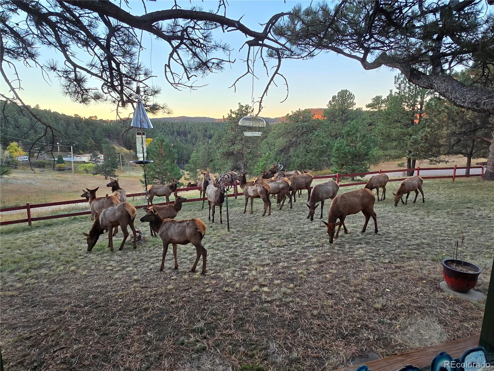 22901 Pinecrest Road Golden CO 80401