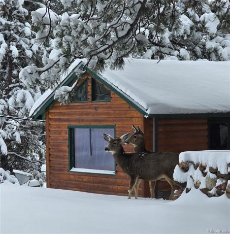 22901 Pinecrest Road Golden CO 80401