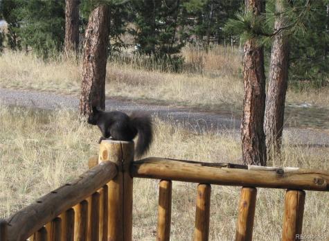 22901 Pinecrest Road Golden CO 80401