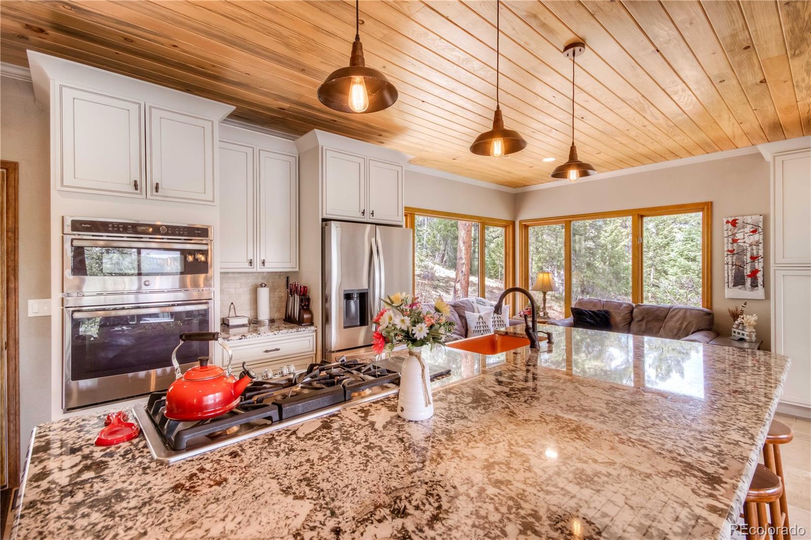 7008 Bluff Trail Morrison CO 80465