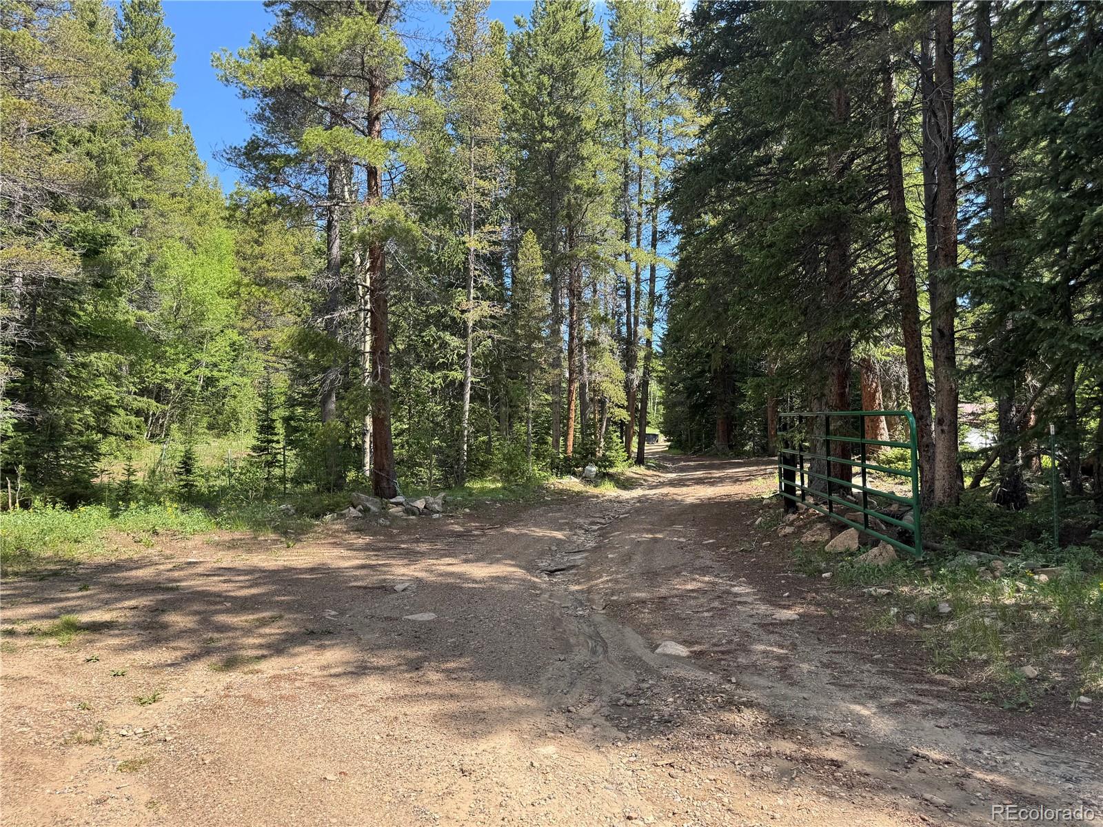 4568 Apex Valley Road Black Hawk CO 80422