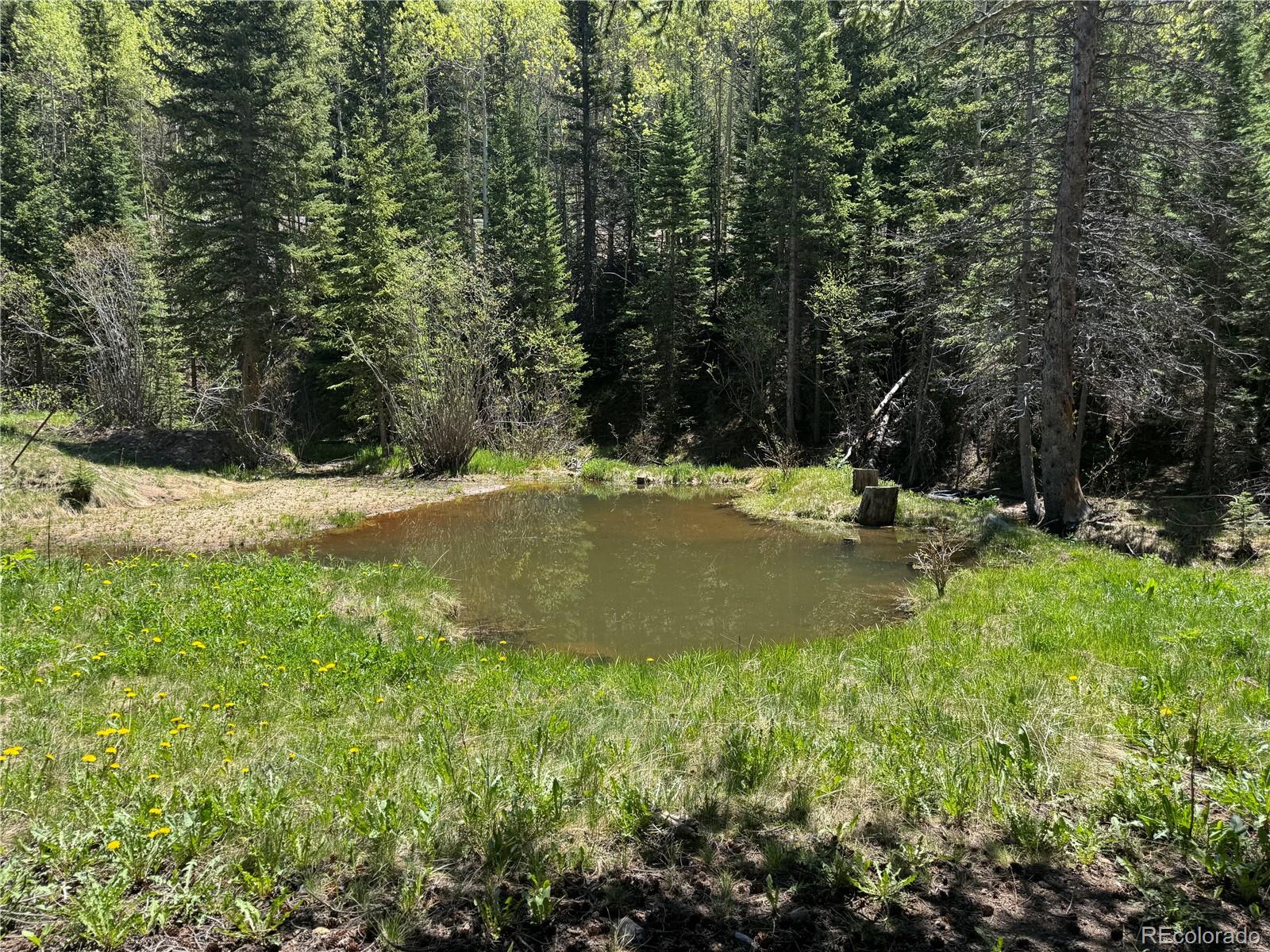 4568 Apex Valley Road Black Hawk CO 80422