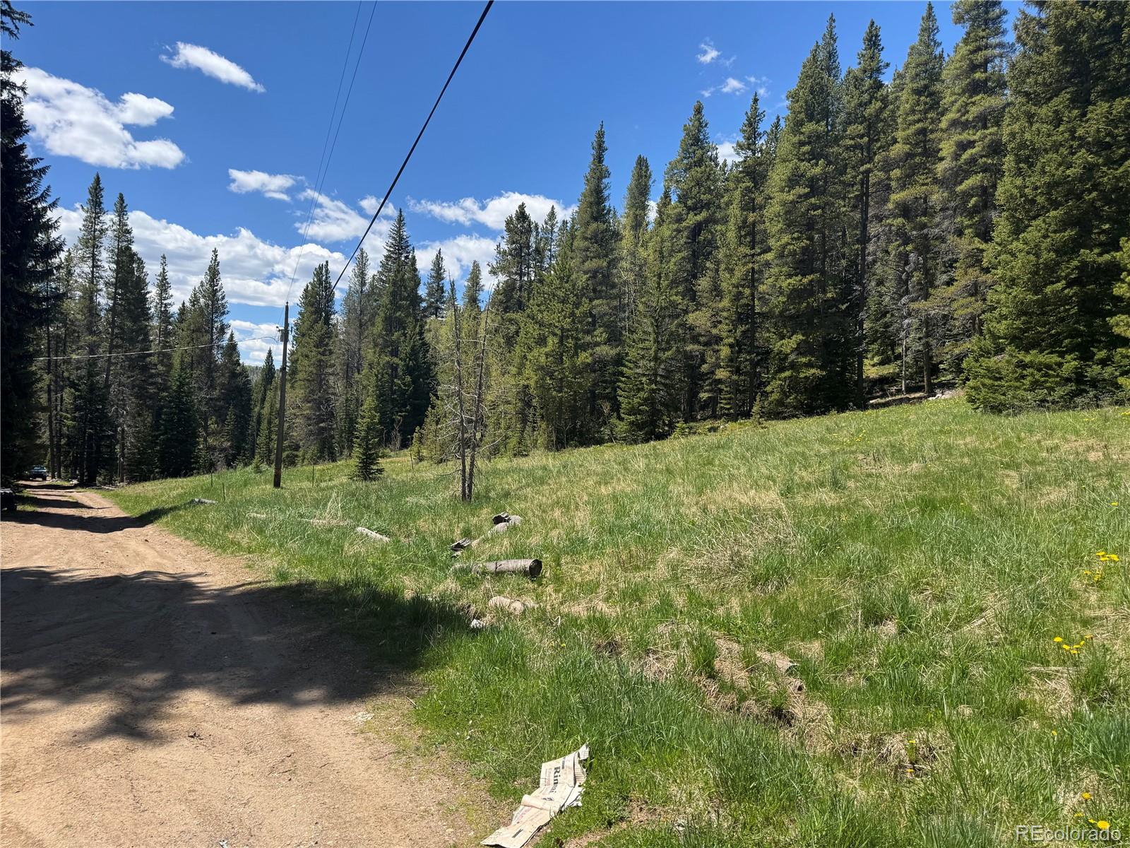 4568 Apex Valley Road Black Hawk CO 80422