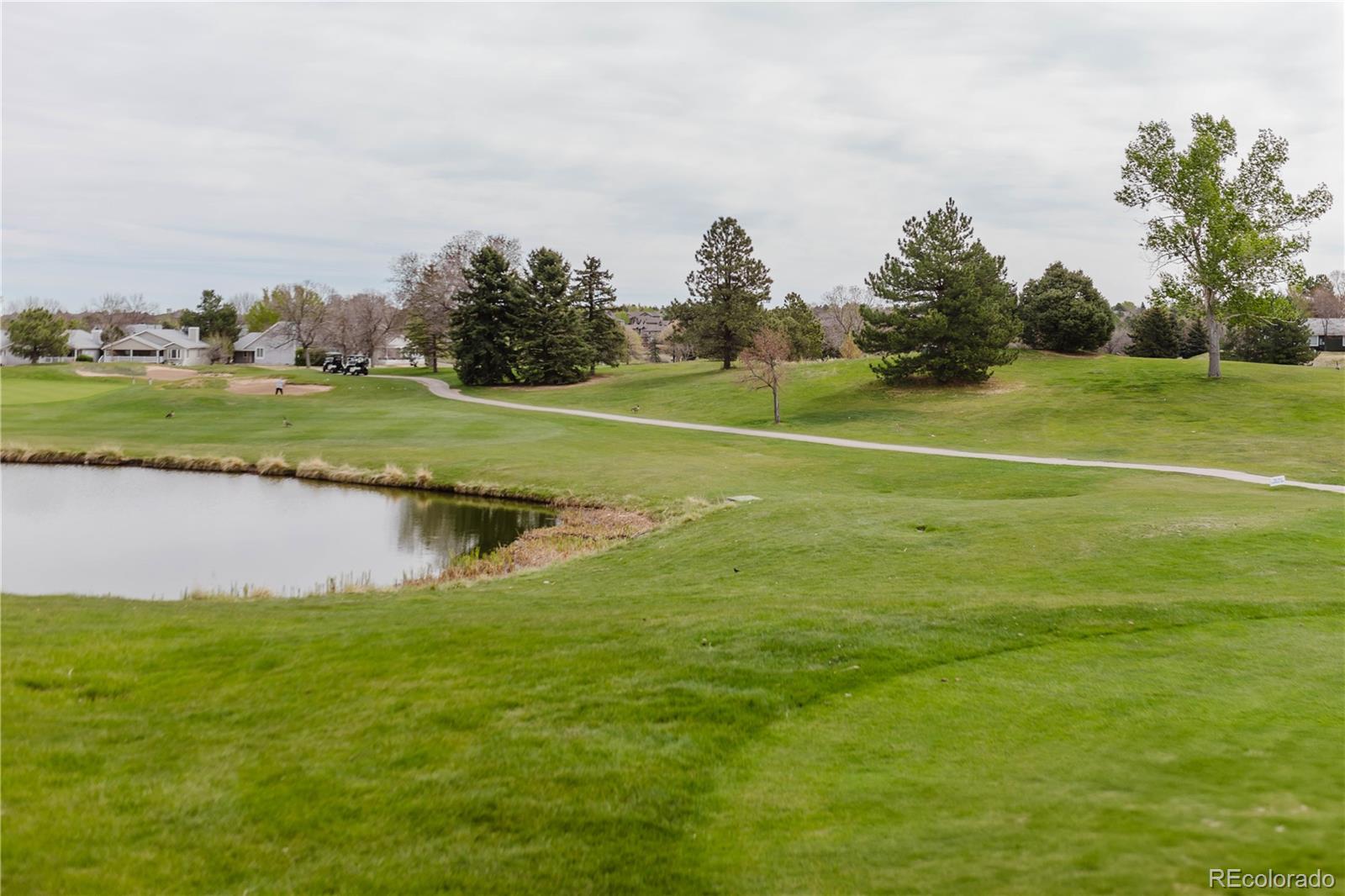 14 Stonehaven Court Littleton CO 80130