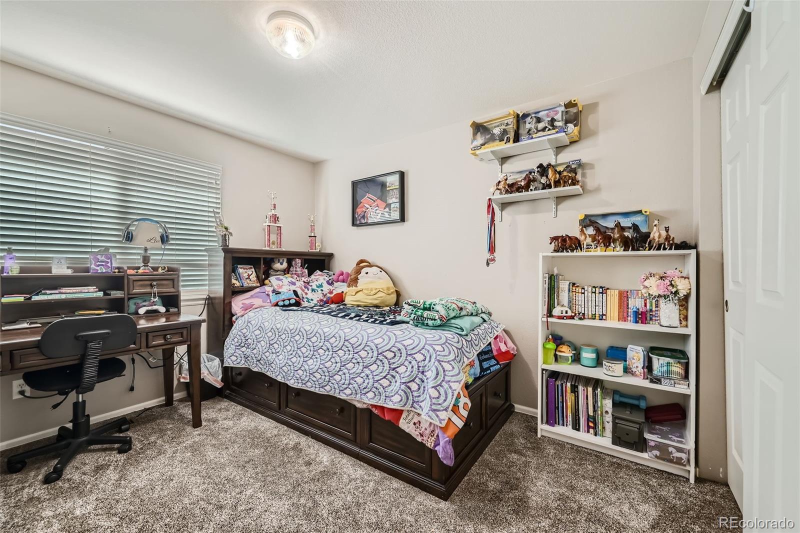 11462 Iola Street Commerce City CO 80640