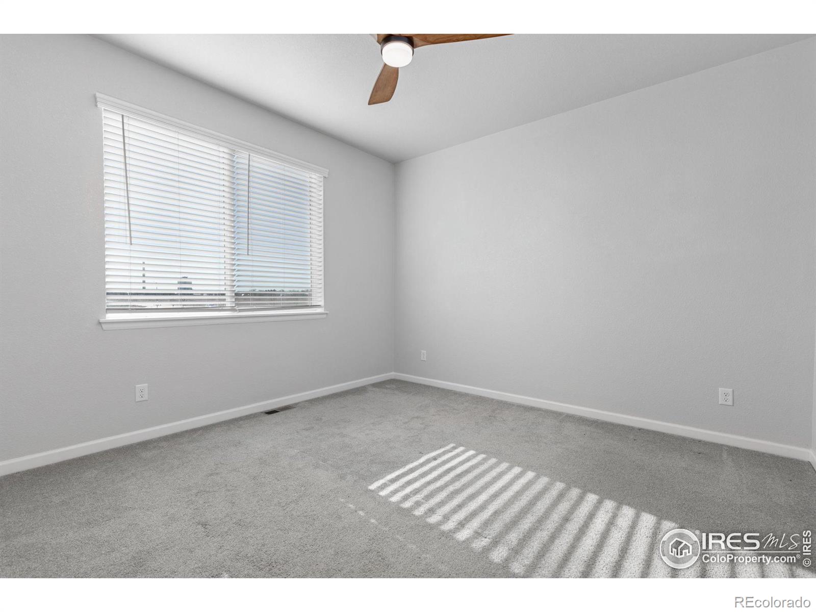 244 Veronica Drive Windsor CO 80550