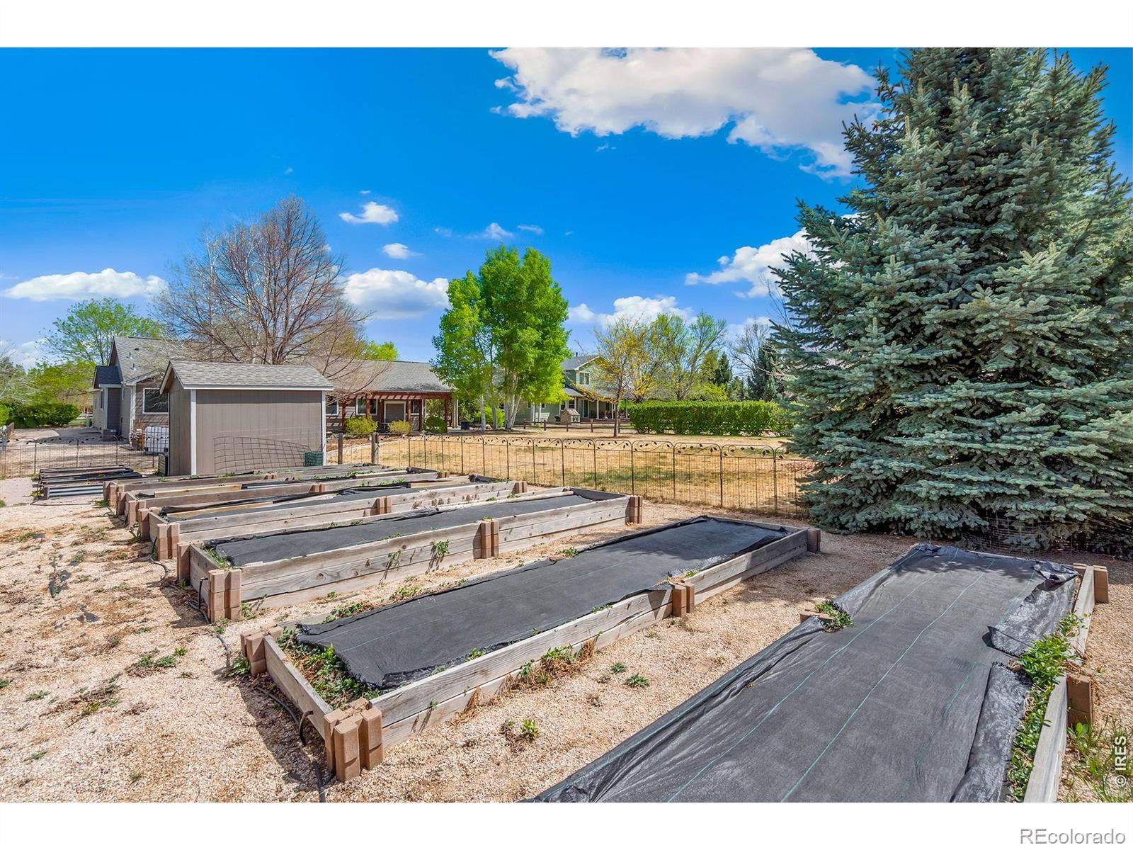 2177 Burbank Street Berthoud CO 80513