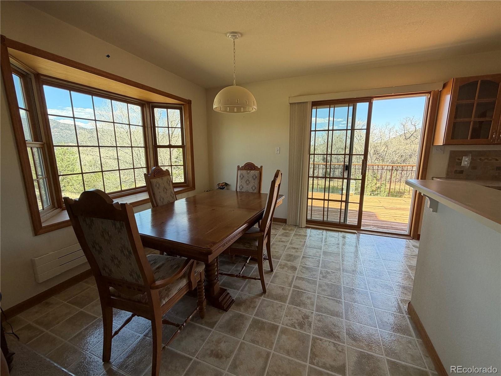 548 Shamrock Lane Howard CO 81233