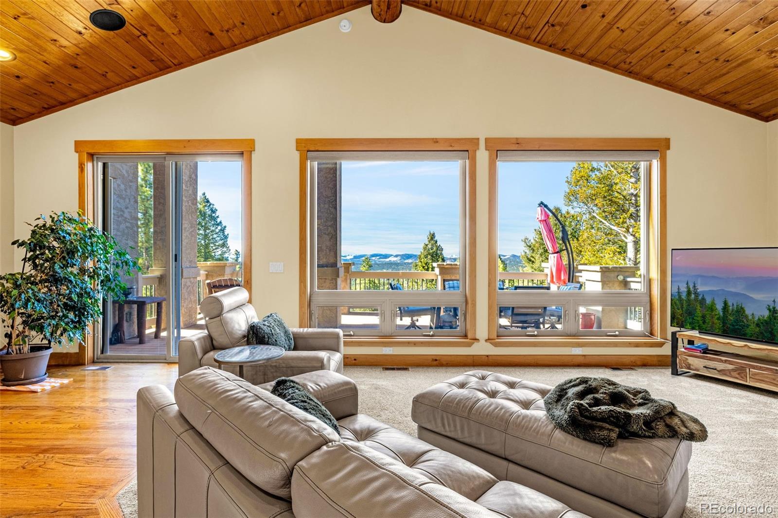 2638 N Mountain Estates Road Florissant CO 80816