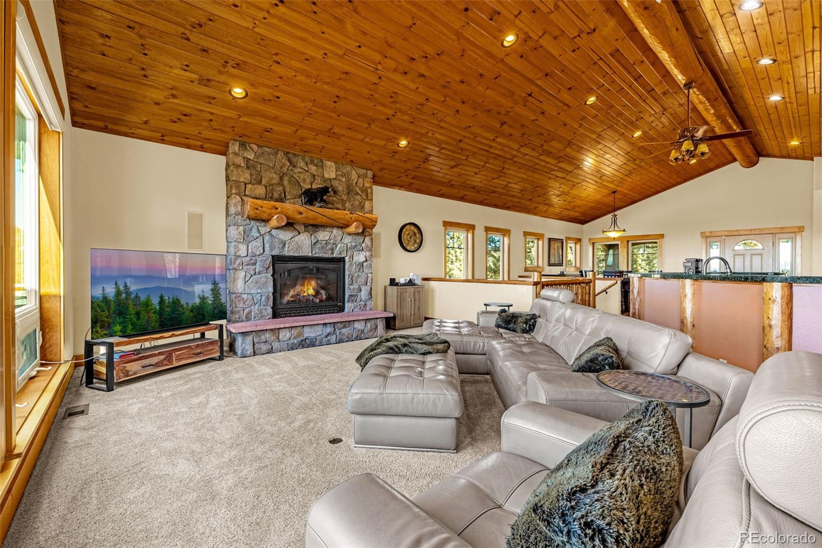 2638 N Mountain Estates Road Florissant CO 80816