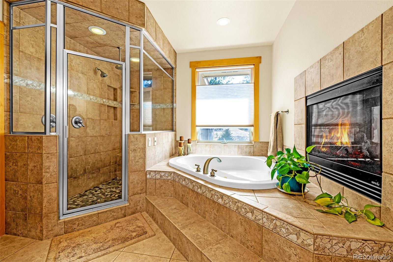 2638 N Mountain Estates Road Florissant CO 80816