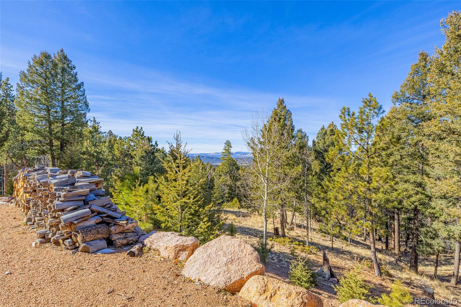 2638 N Mountain Estates Road Florissant CO 80816