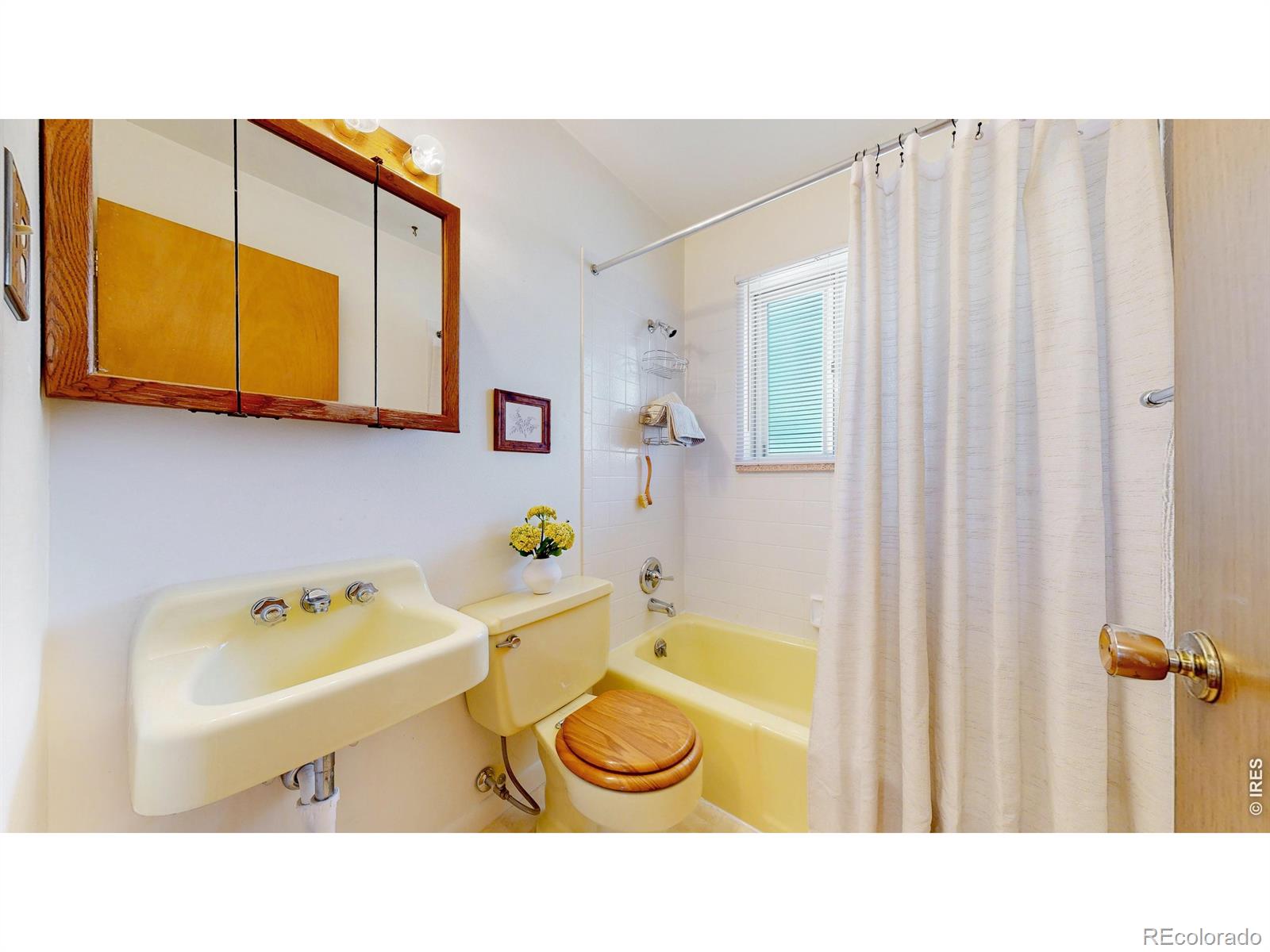 1915 23rd Ave Court Greeley CO 80634