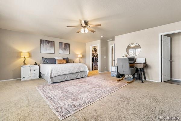 5849 Echo Park Circle Castle Rock CO 80104