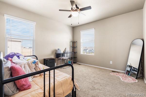 5849 Echo Park Circle Castle Rock CO 80104