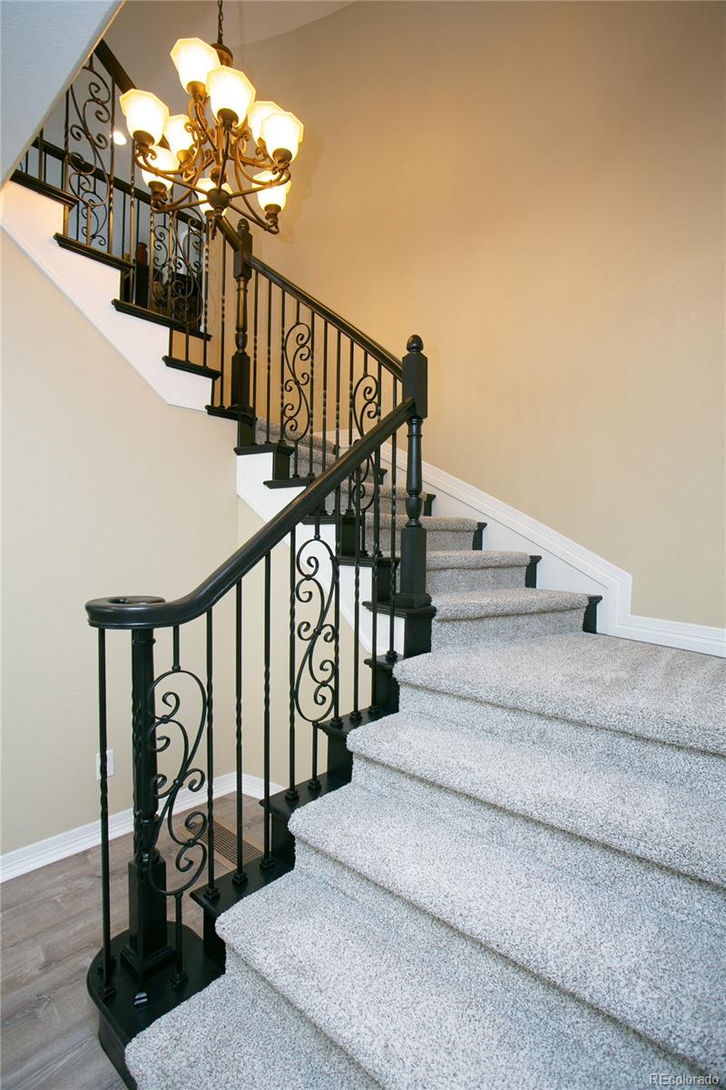 6522 Lynch Lane Castle Rock CO 80108