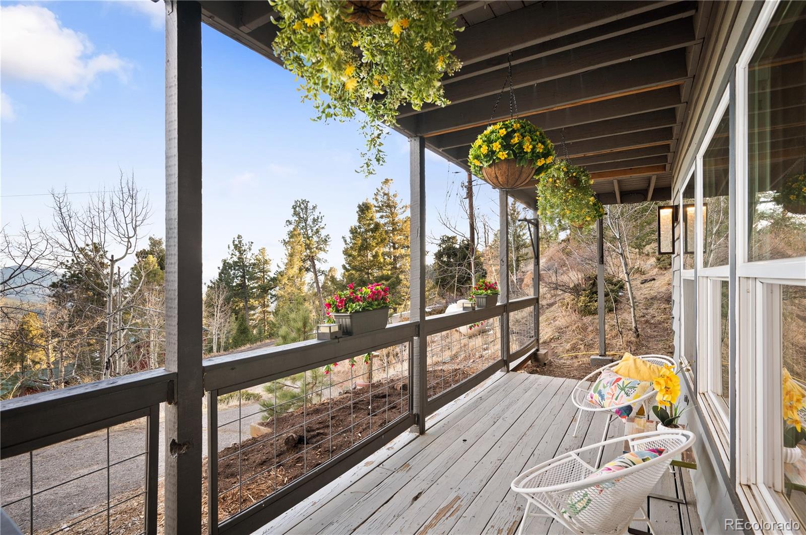11740 Baca Road Conifer CO 80433