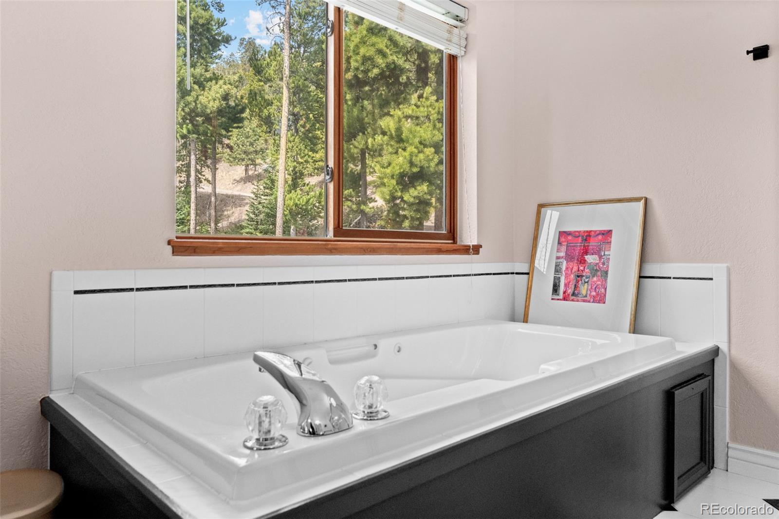 330 Lodgepole Drive Evergreen CO 80439