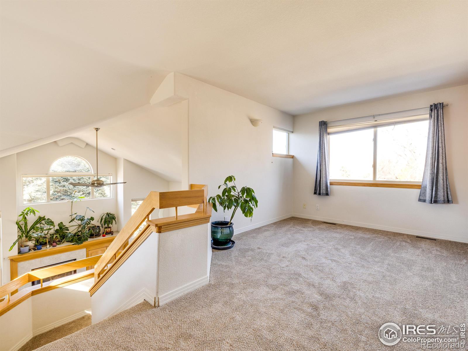 927 Hover Ridge Circle Longmont CO 80501