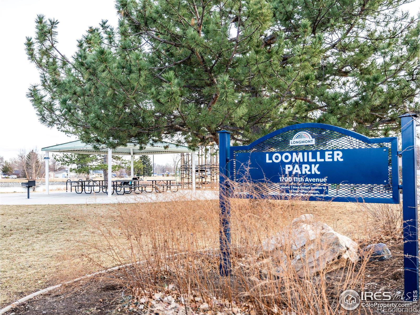 927 Hover Ridge Circle Longmont CO 80501