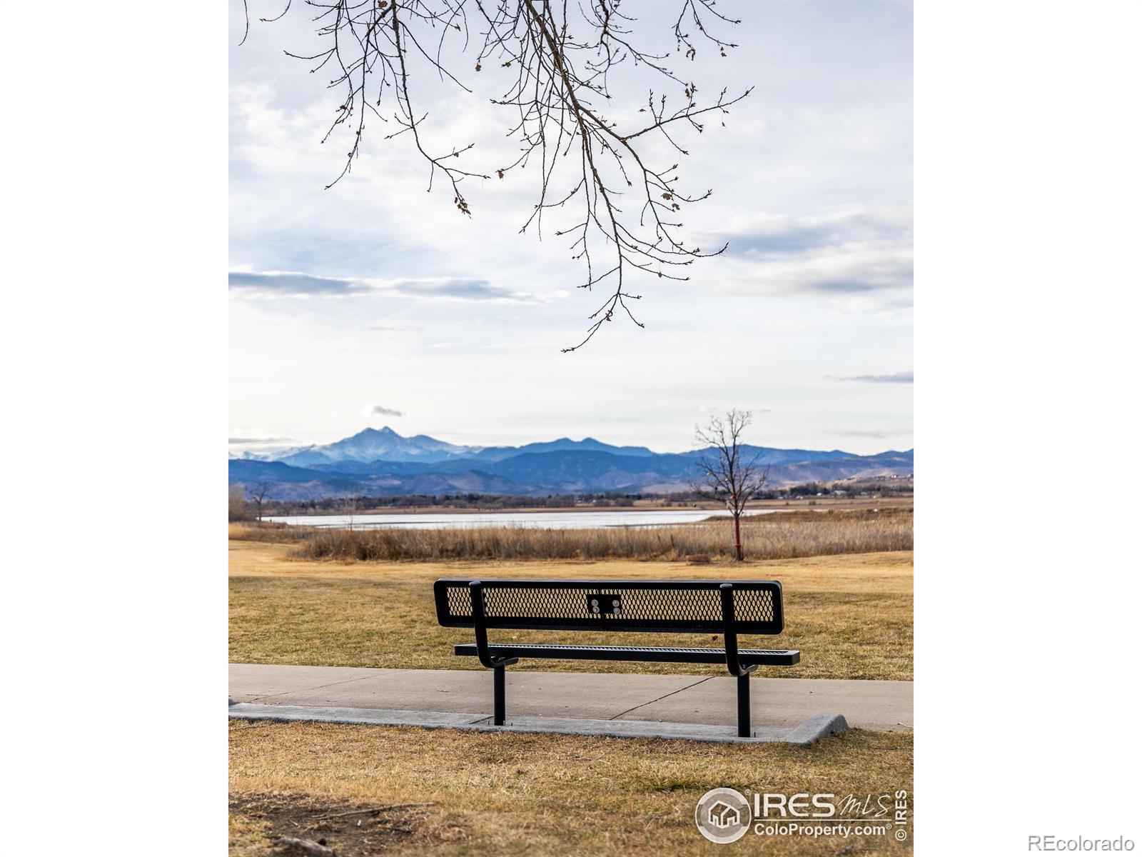 927 Hover Ridge Circle Longmont CO 80501