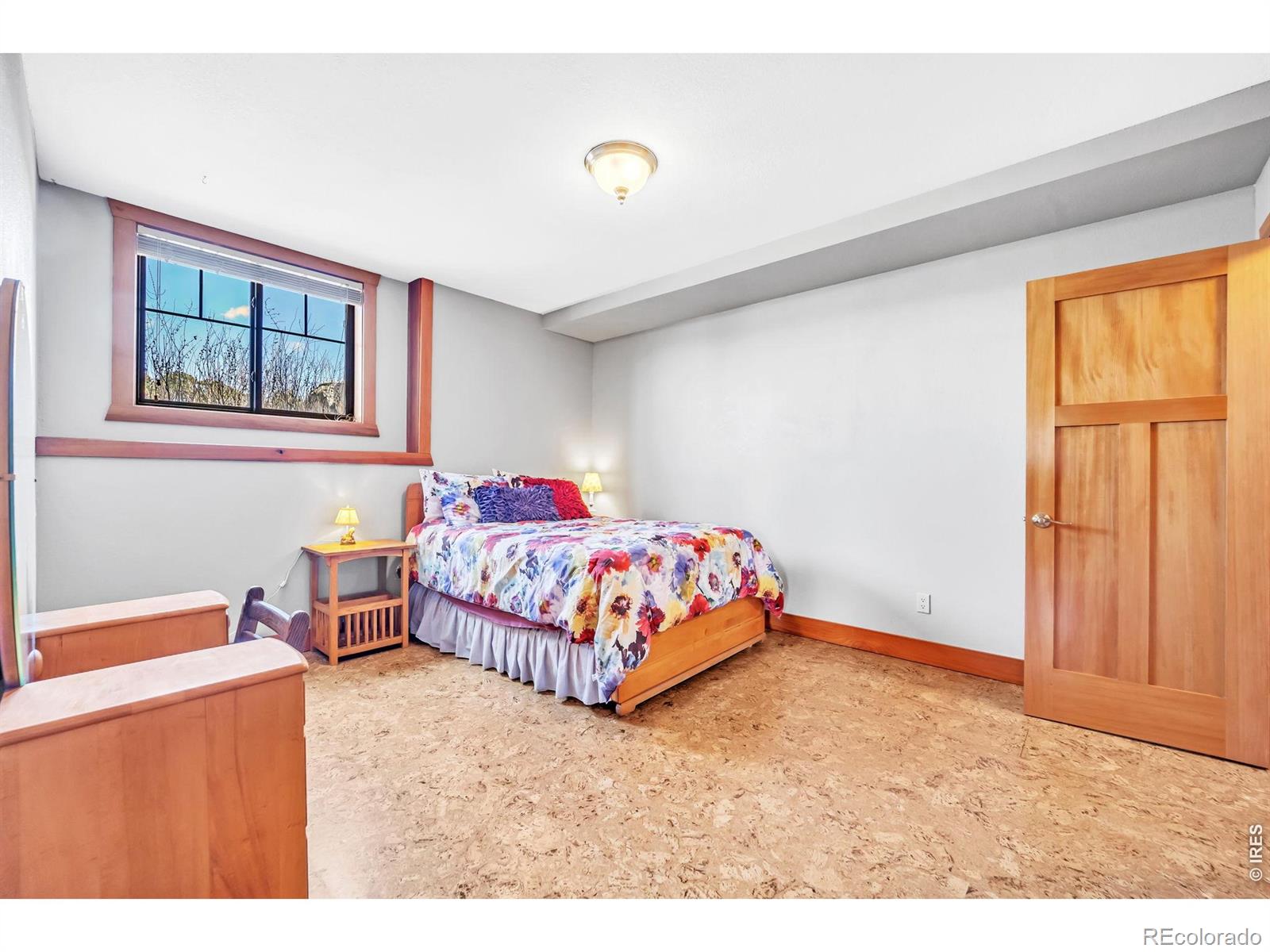 3237 Romnes Road Fort Garland CO 81133