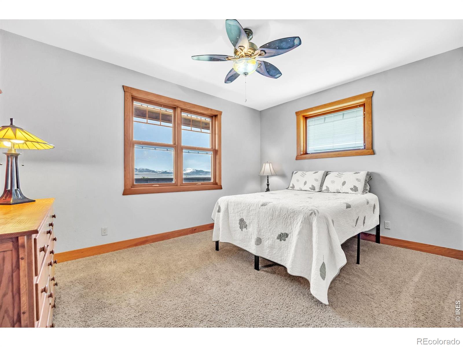 3237 Romnes Road Fort Garland CO 81133