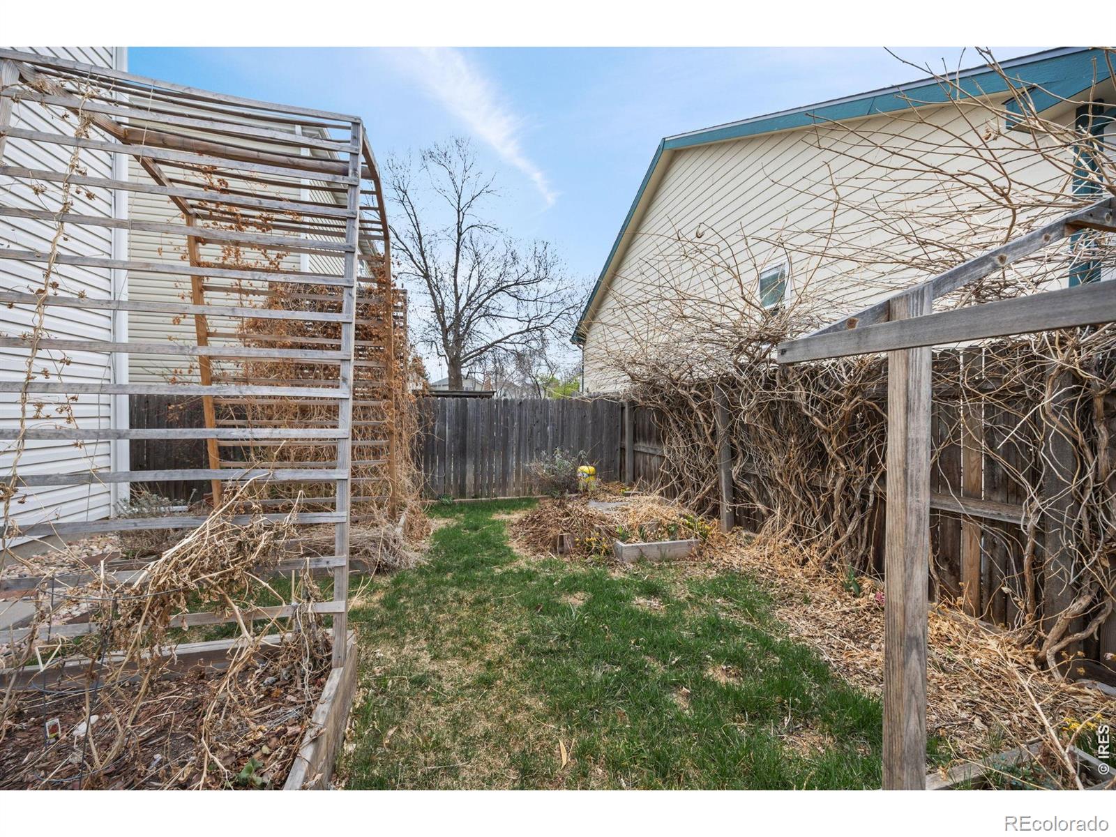 3487 Warren Farm Drive Fort Collins CO 80526