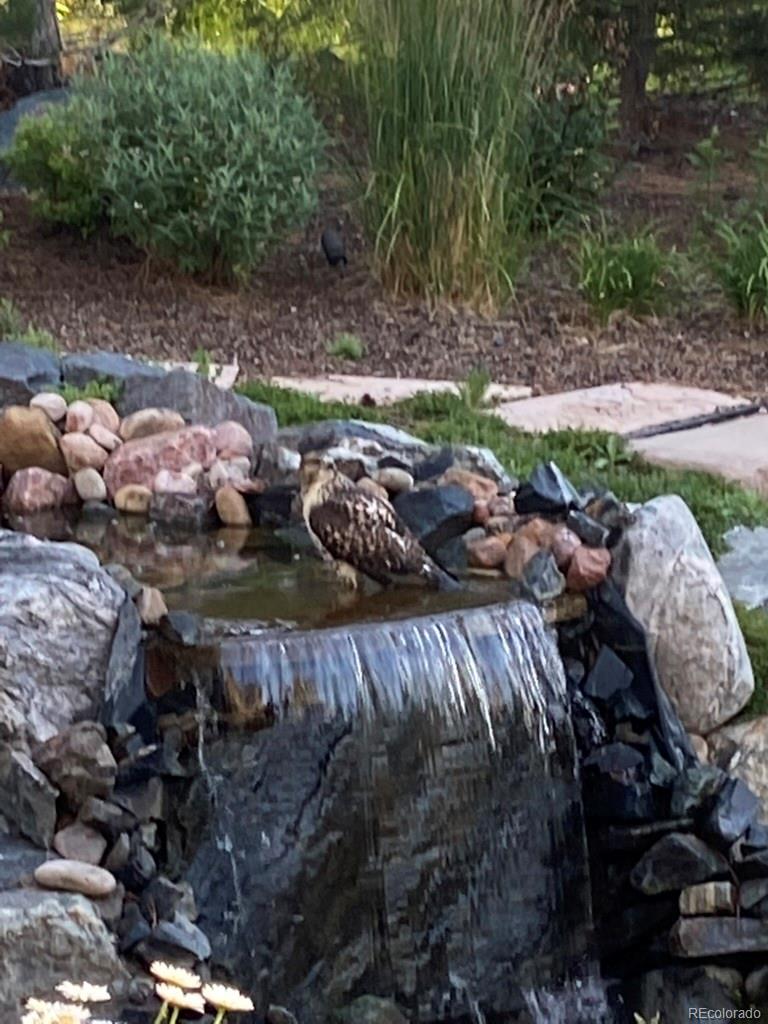 6735 S Catawba Way Aurora CO 80016