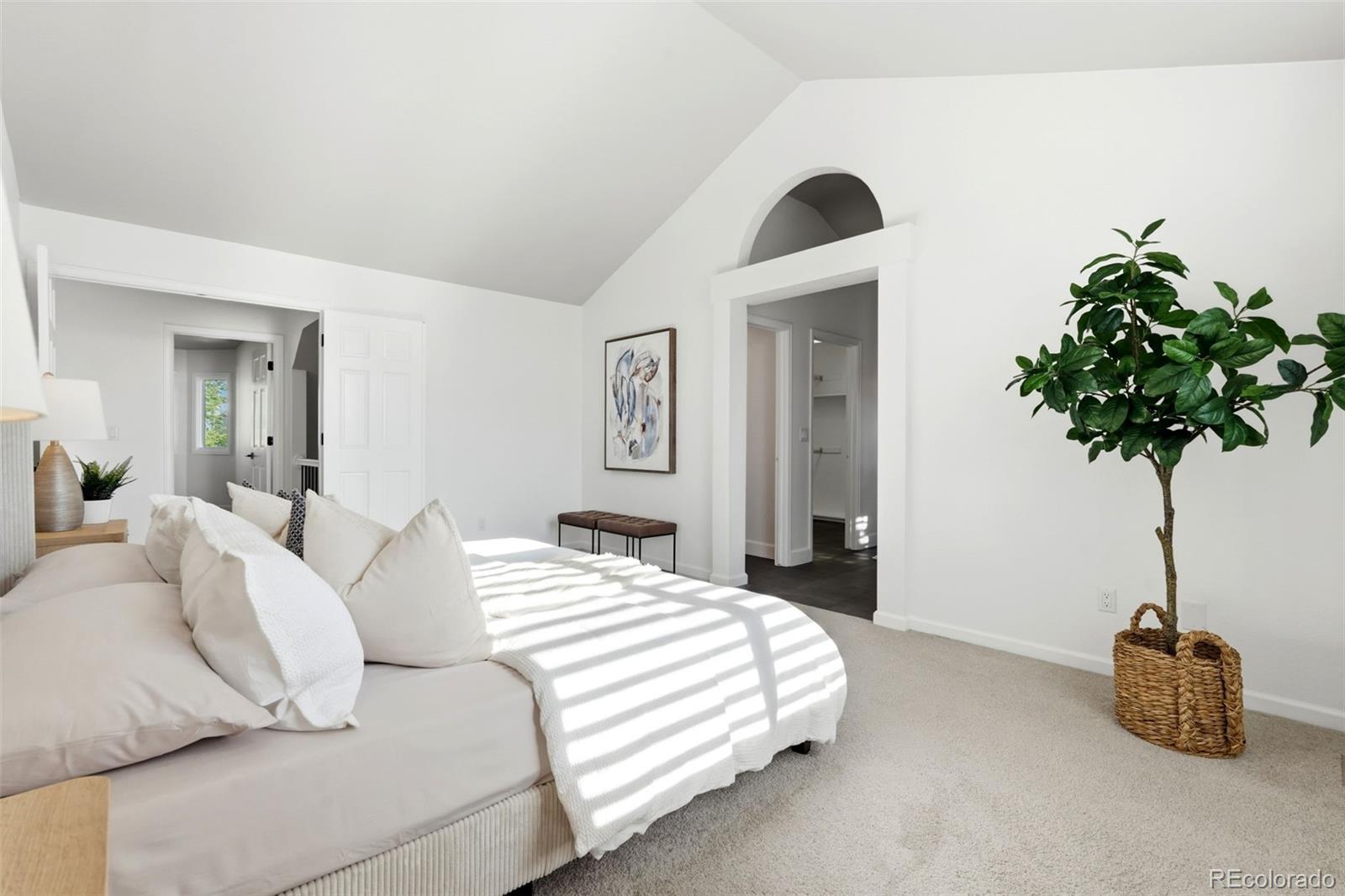 9223 Wolfdale Drive Lone Tree CO 80124