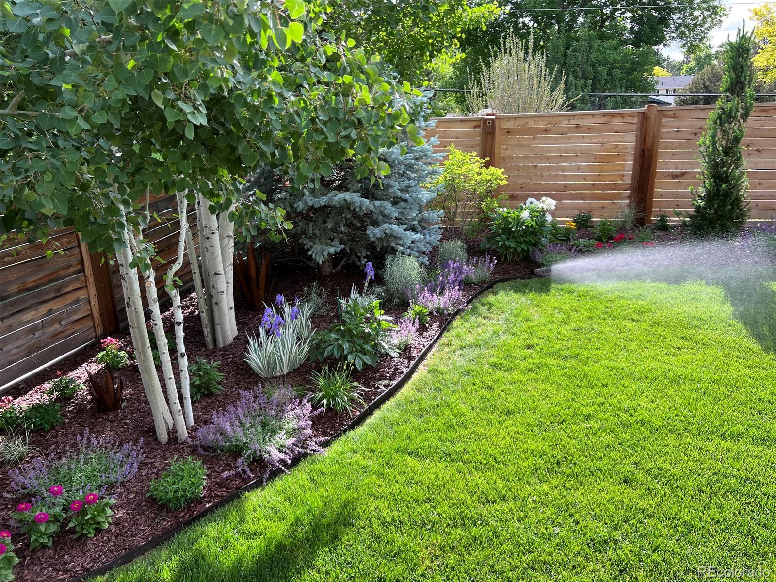 7438 S Pennsylvania Street Littleton CO 80122