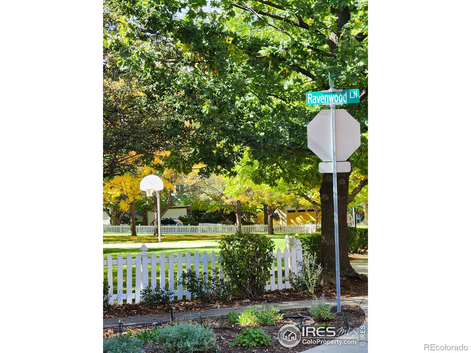 2509 Ravenwood Lane Lafayette CO 80026