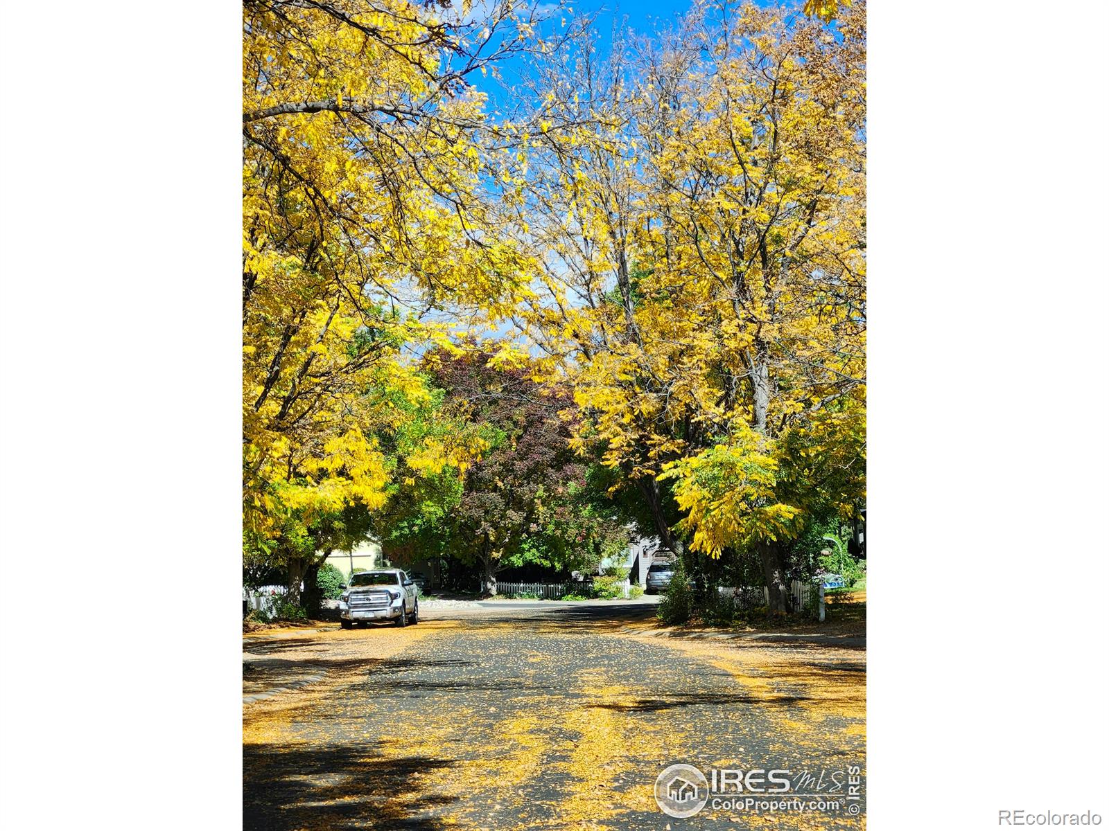 2509 Ravenwood Lane Lafayette CO 80026