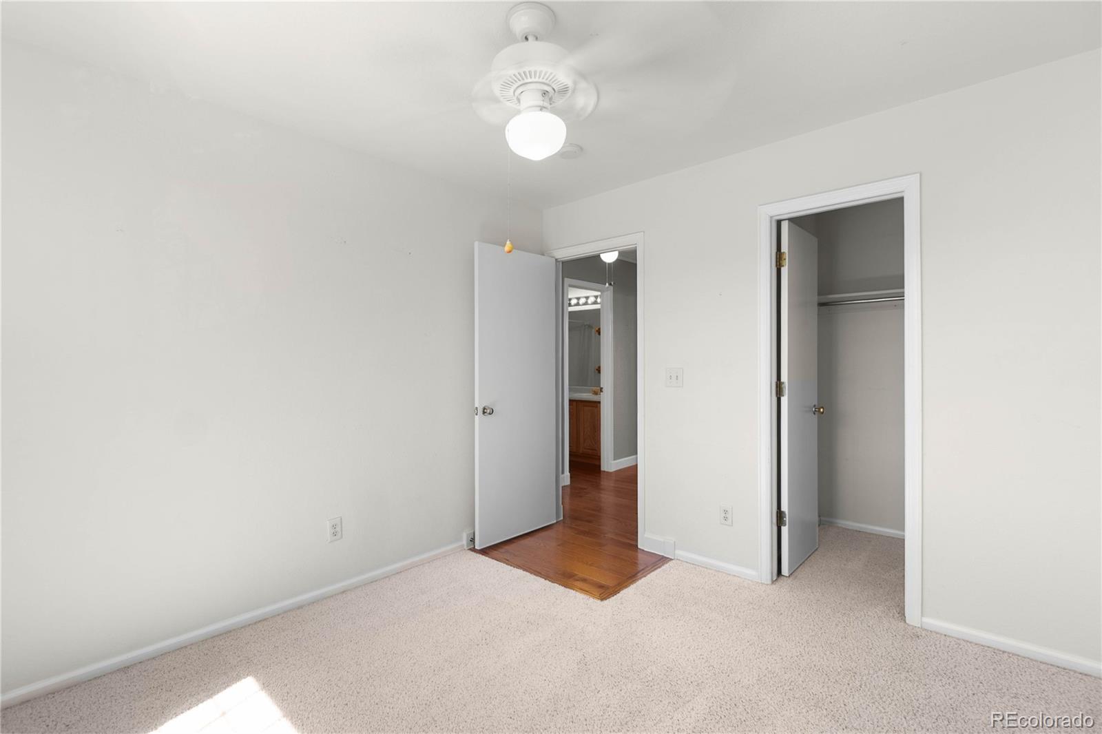 4967 Stoneham Avenue Castle Rock CO 80104