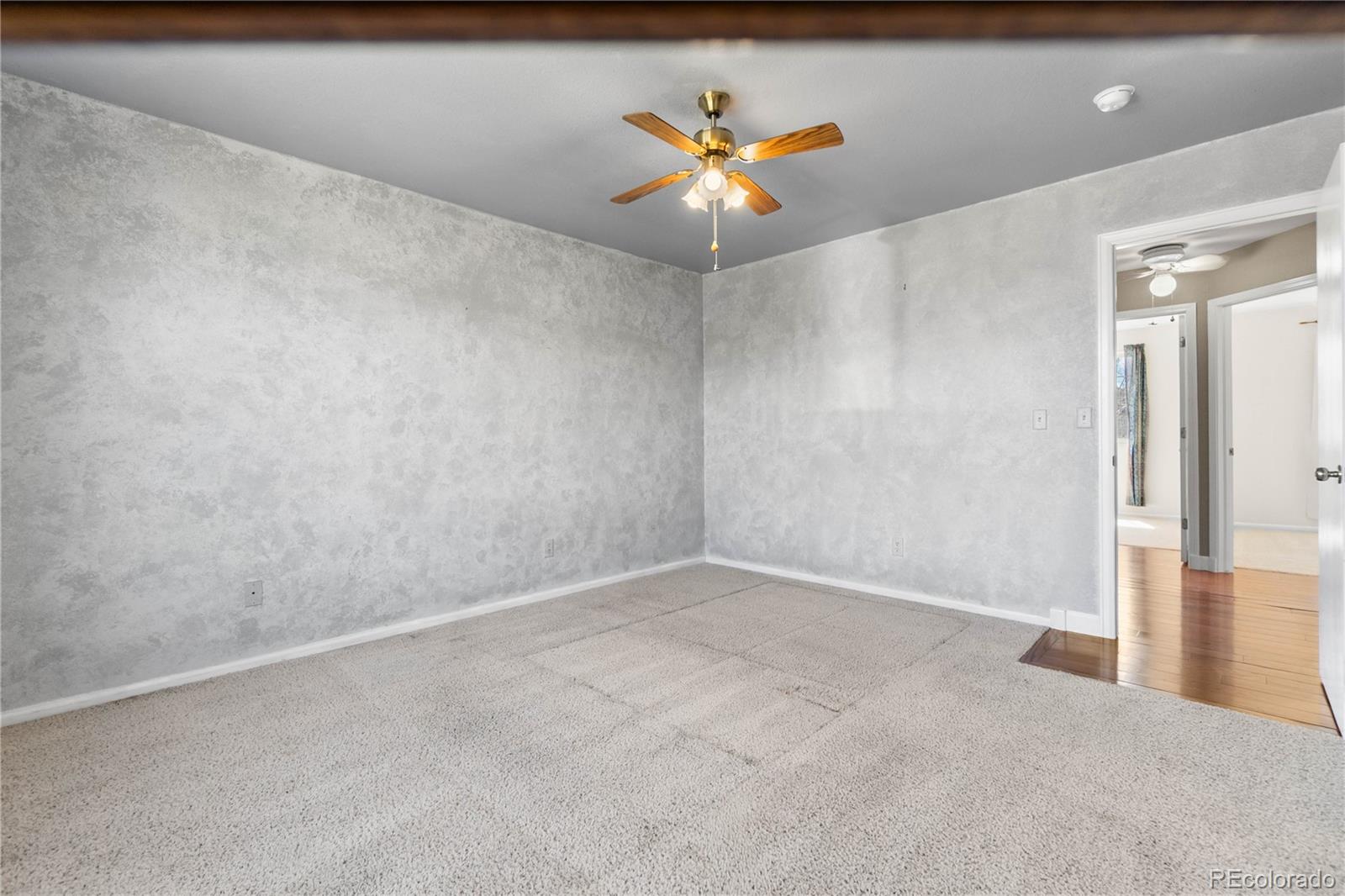 4967 Stoneham Avenue Castle Rock CO 80104