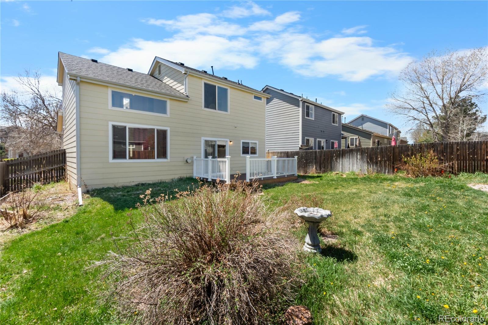 4967 Stoneham Avenue Castle Rock CO 80104
