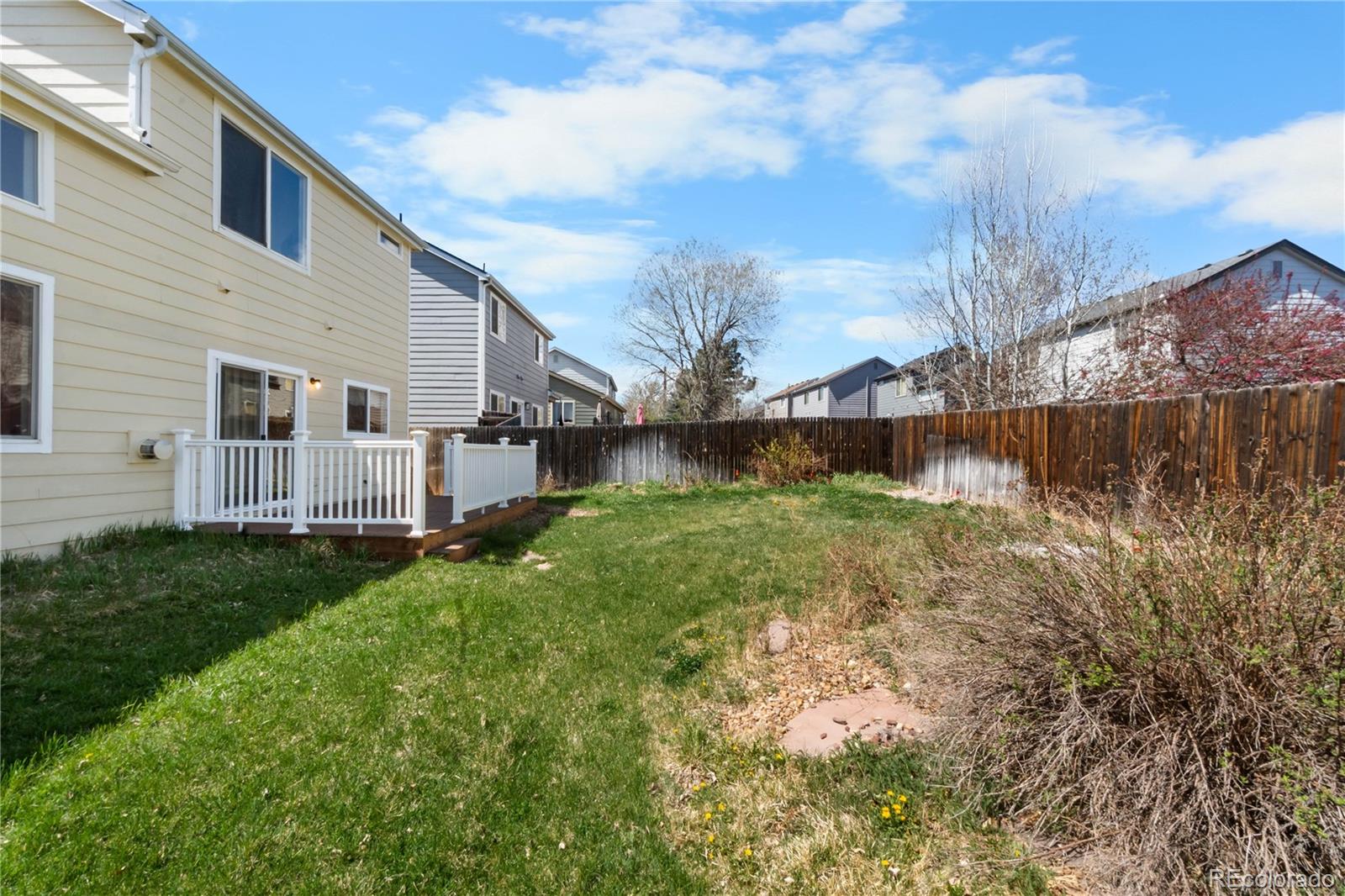 4967 Stoneham Avenue Castle Rock CO 80104