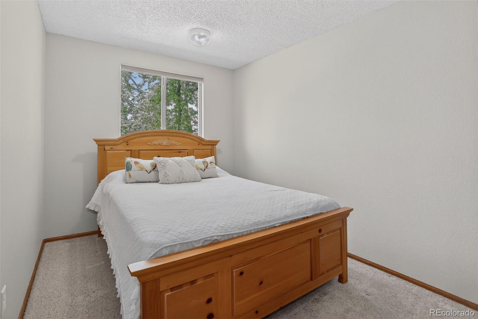 5242 E 123rd Court Thornton CO 80241
