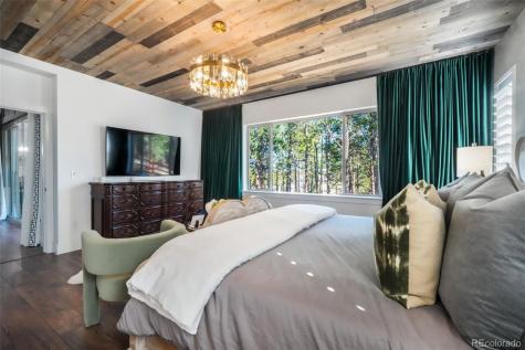 1004 Tree Bark Terrace Monument CO 80132