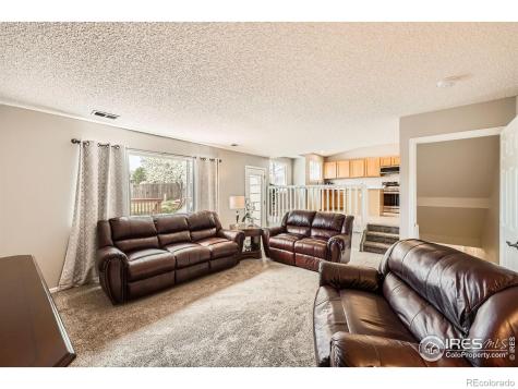 21656 Hill Gail Way Parker CO 80138