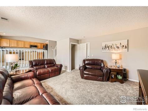 21656 Hill Gail Way Parker CO 80138