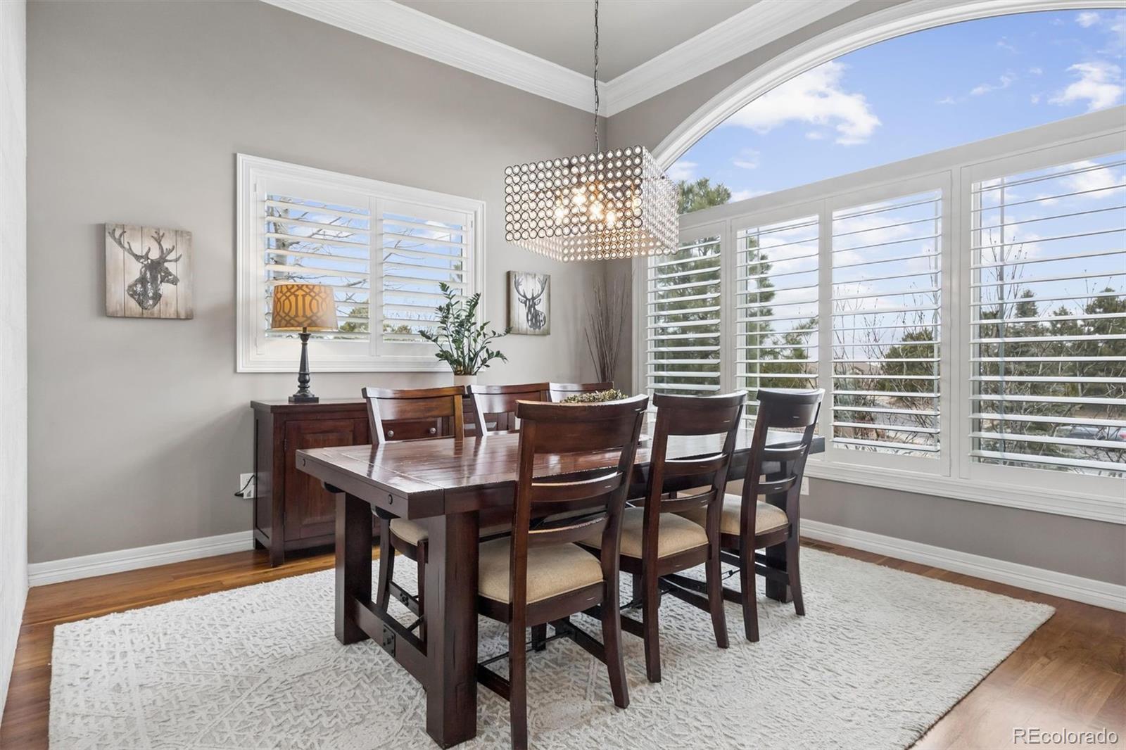 6719 Tremolite Drive Castle Rock CO 80108